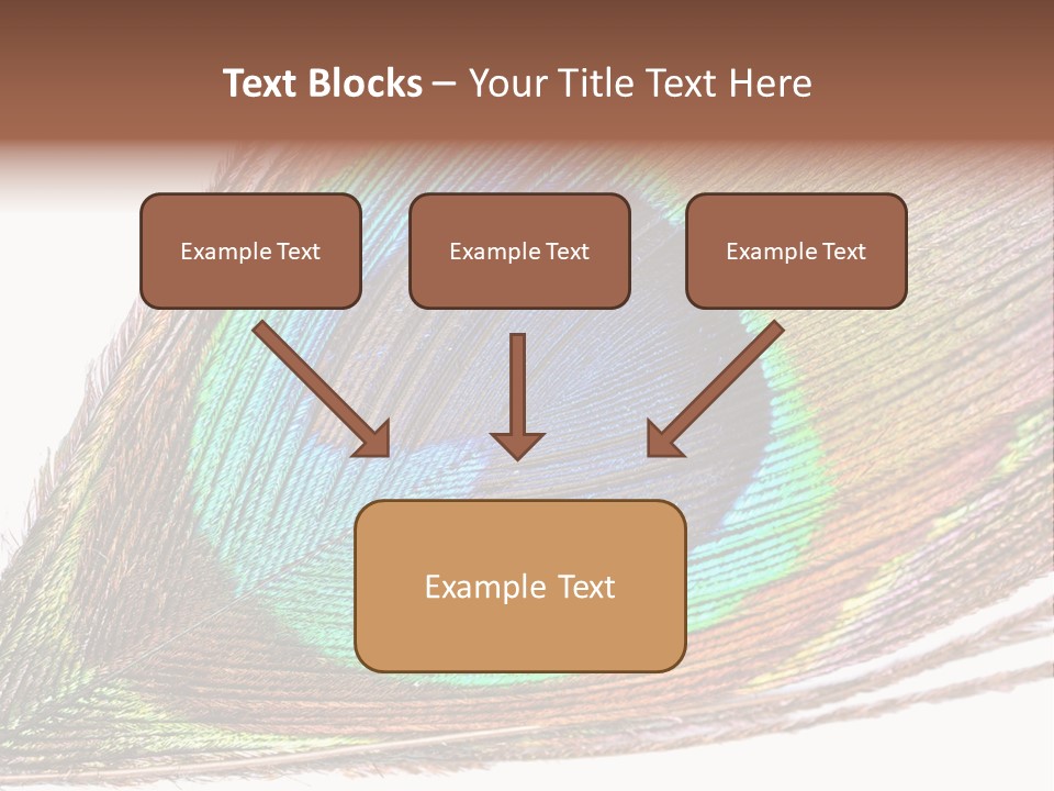 Design Beauty Fluffy PowerPoint Template