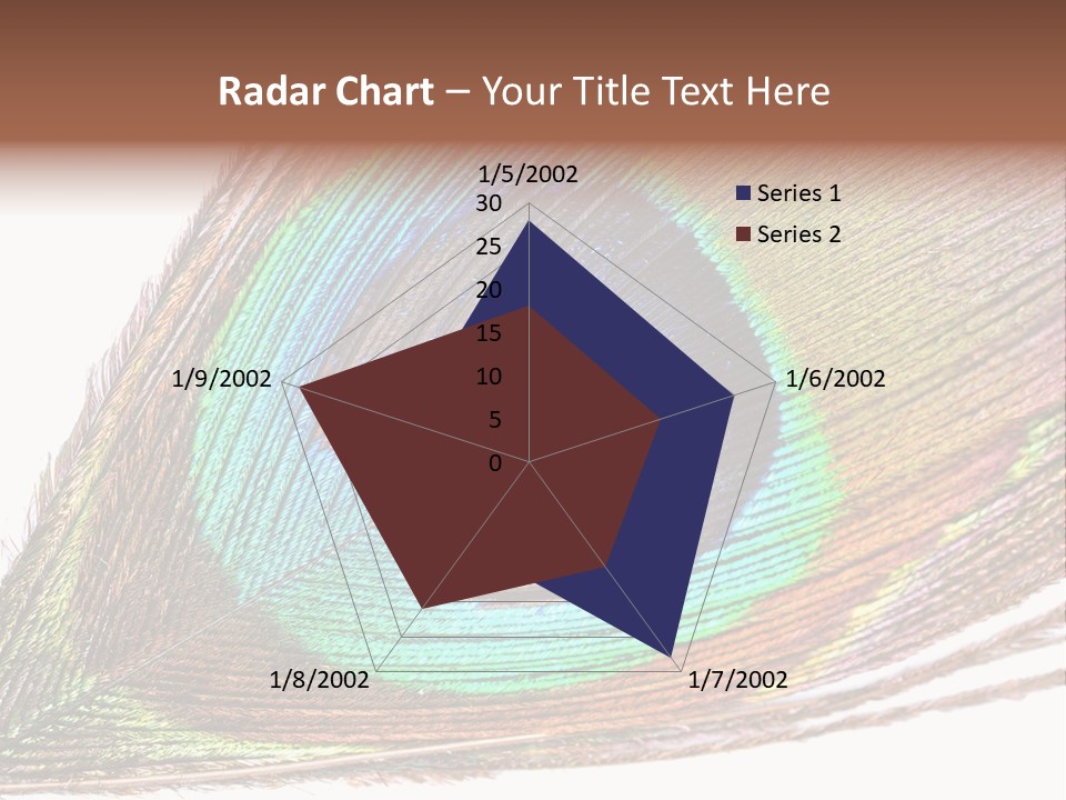 Design Beauty Fluffy PowerPoint Template