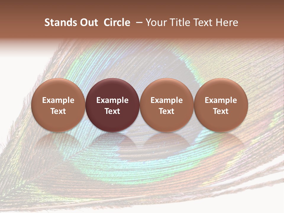 Design Beauty Fluffy PowerPoint Template