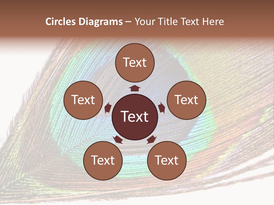 Design Beauty Fluffy PowerPoint Template