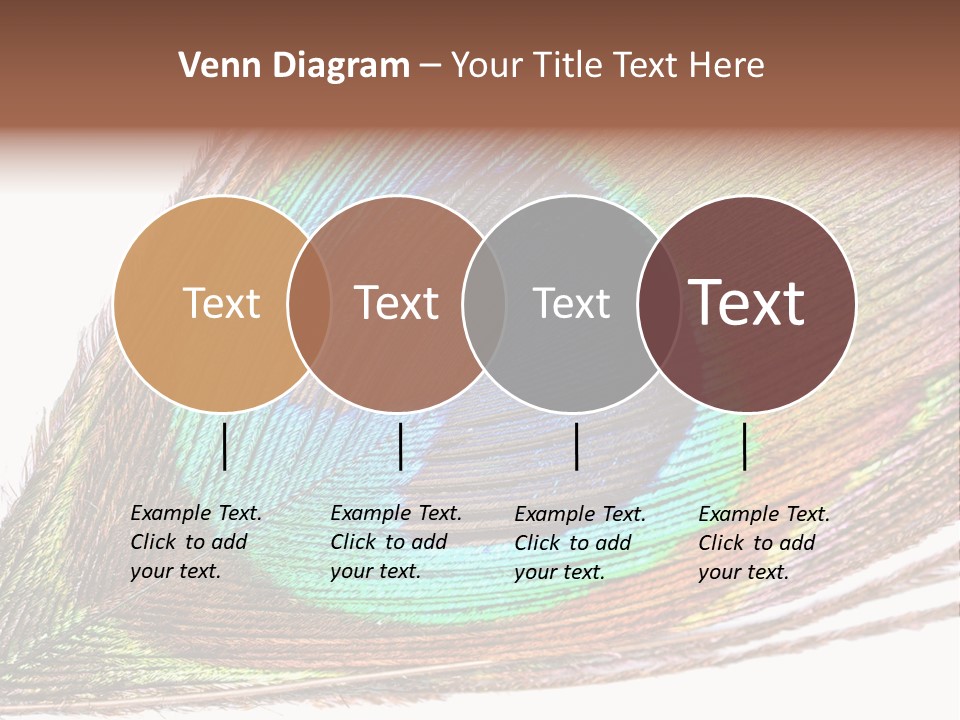 Design Beauty Fluffy PowerPoint Template