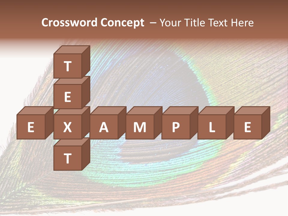 Design Beauty Fluffy PowerPoint Template