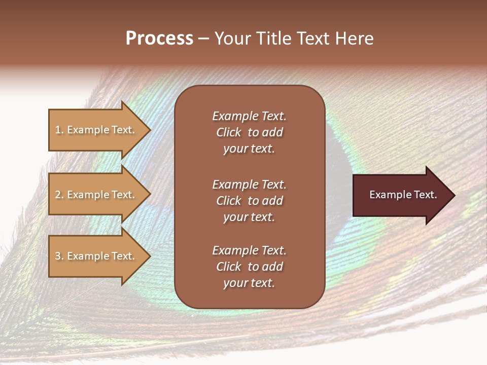 Design Beauty Fluffy PowerPoint Template