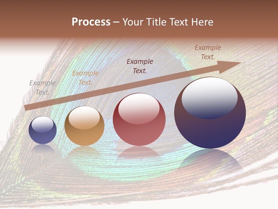 Design Beauty Fluffy PowerPoint Template