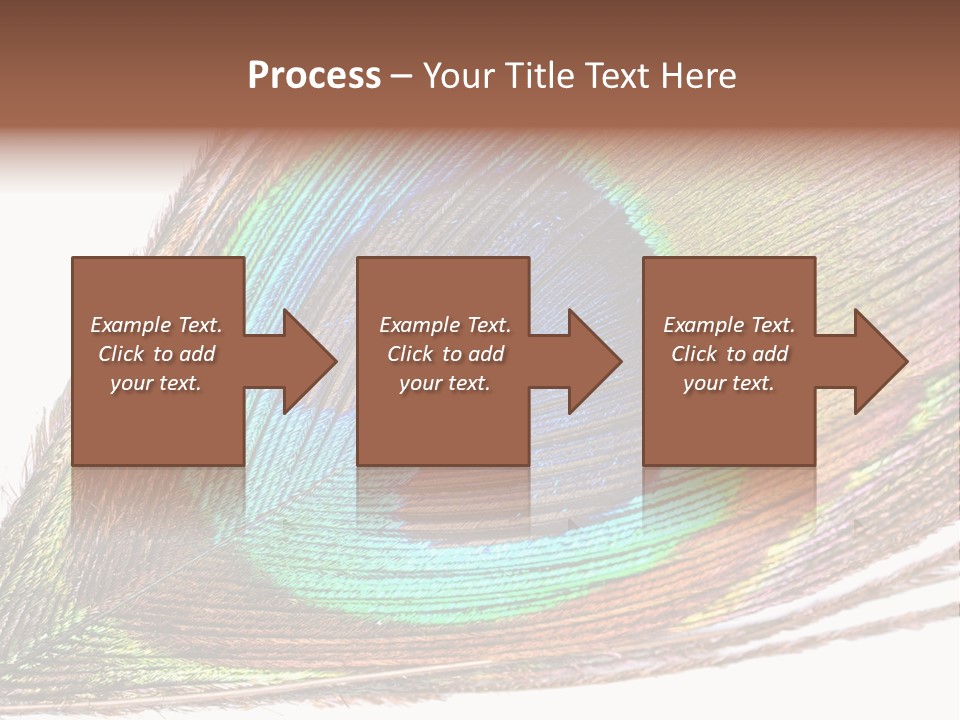 Design Beauty Fluffy PowerPoint Template