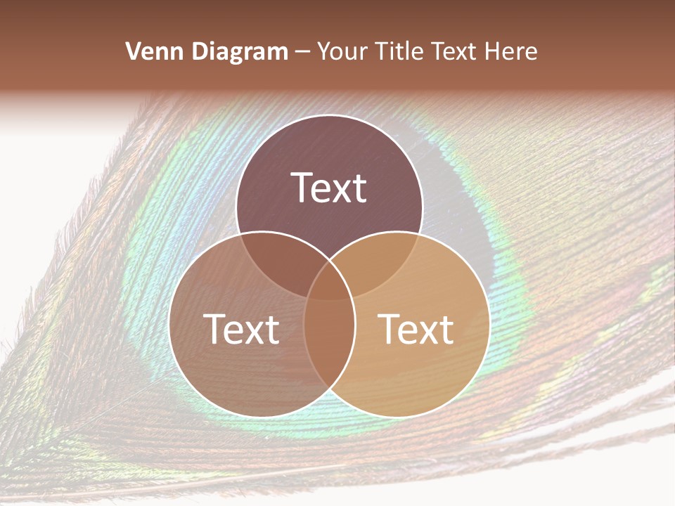 Design Beauty Fluffy PowerPoint Template