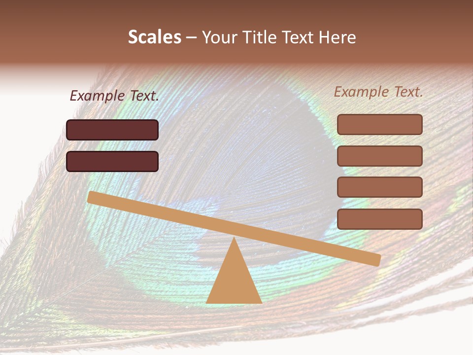 Design Beauty Fluffy PowerPoint Template