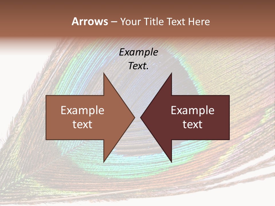 Design Beauty Fluffy PowerPoint Template