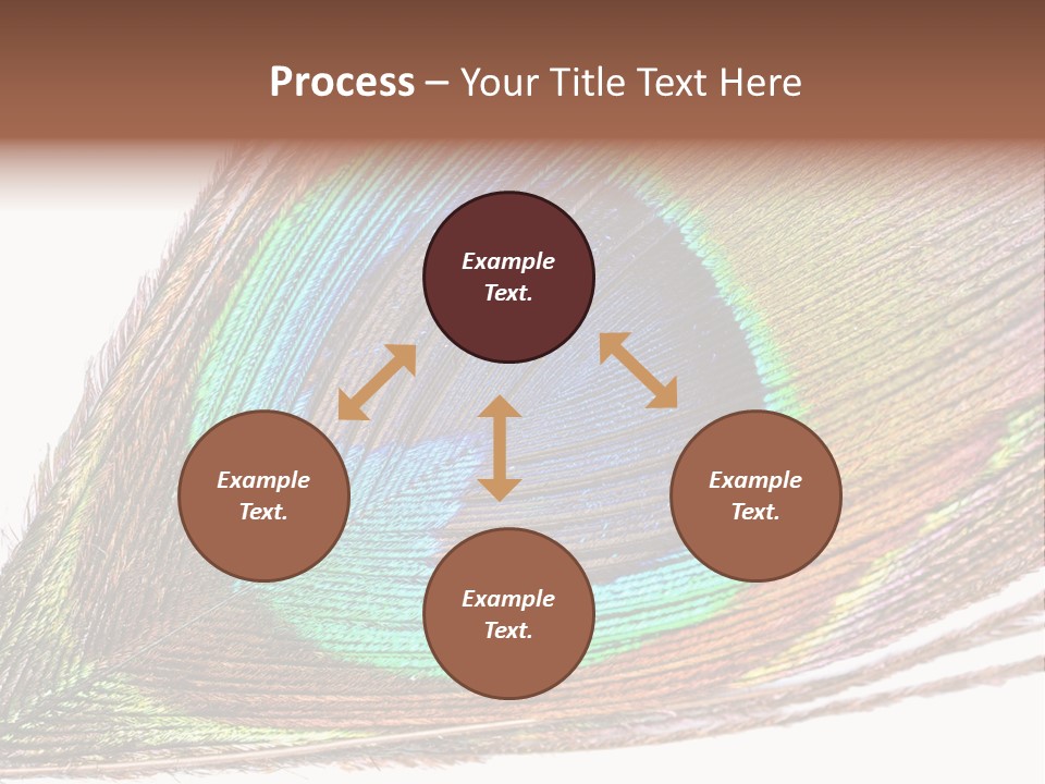 Design Beauty Fluffy PowerPoint Template