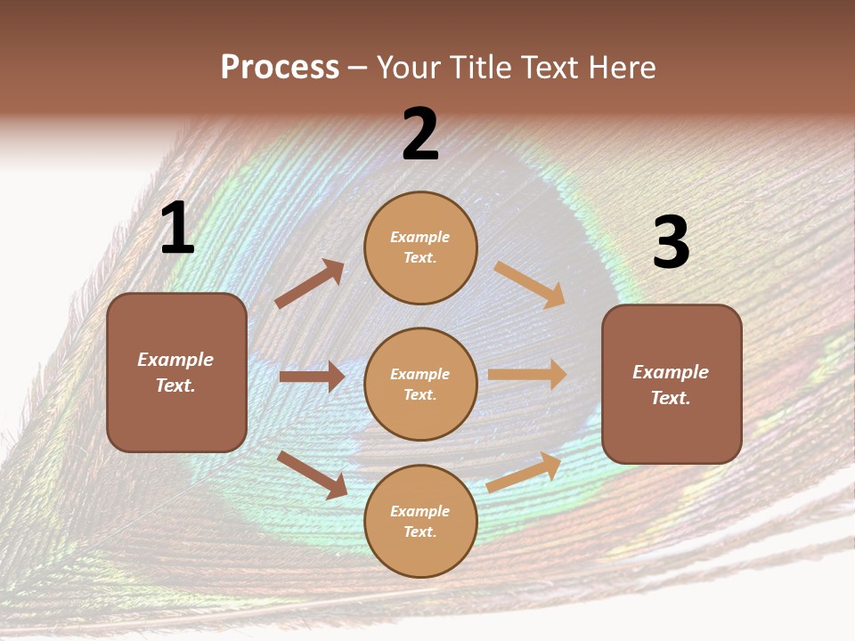 Design Beauty Fluffy PowerPoint Template