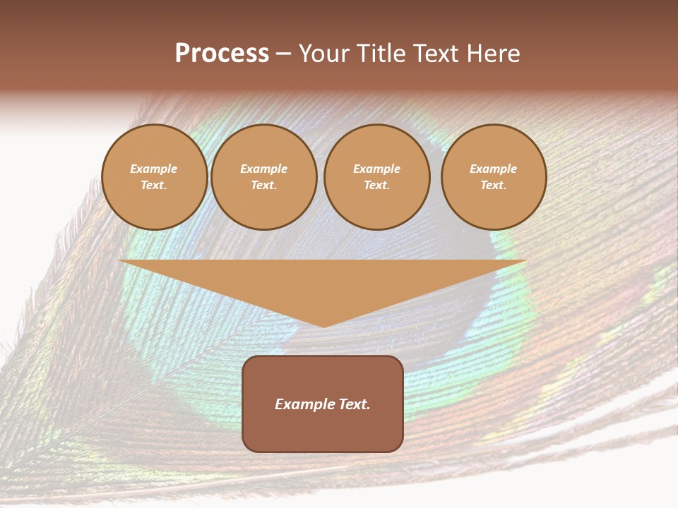 Design Beauty Fluffy PowerPoint Template