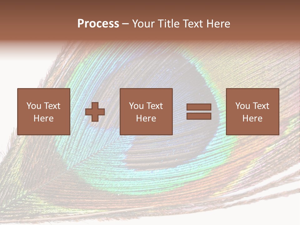 Design Beauty Fluffy PowerPoint Template