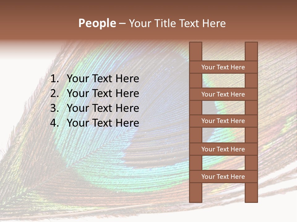 Design Beauty Fluffy PowerPoint Template