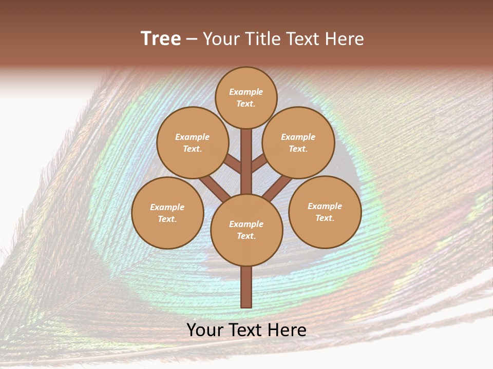 Design Beauty Fluffy PowerPoint Template