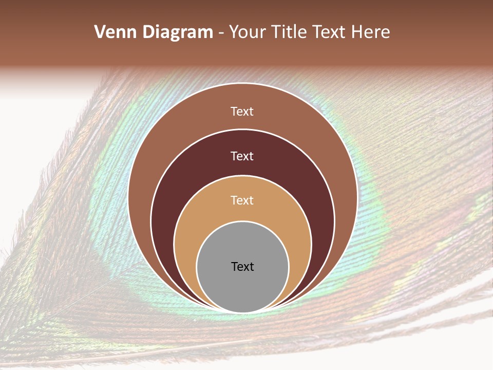 Design Beauty Fluffy PowerPoint Template