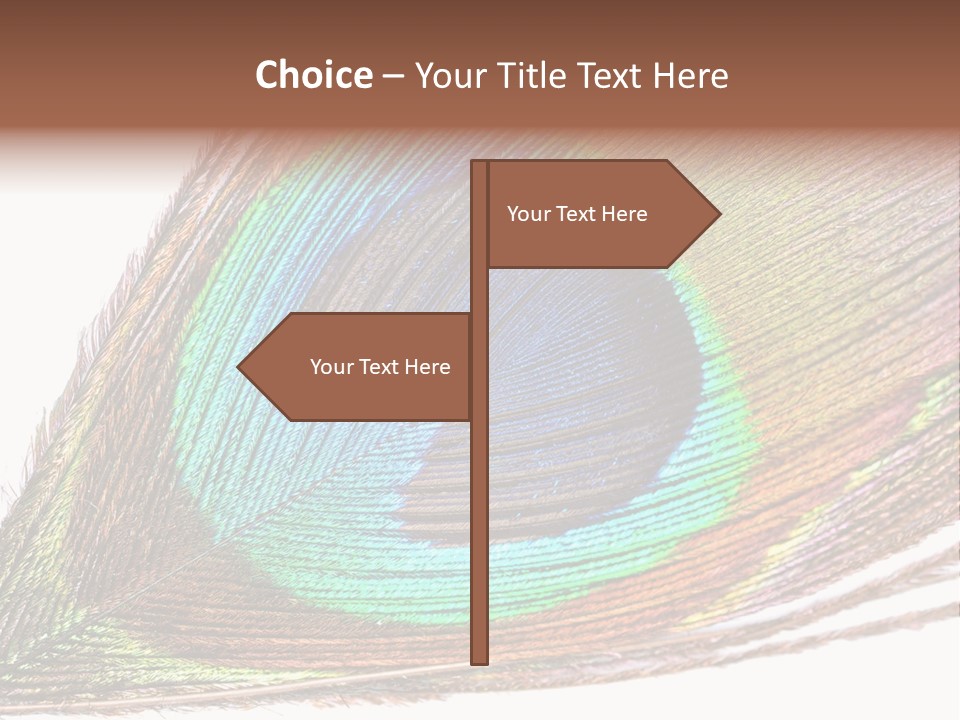 Design Beauty Fluffy PowerPoint Template