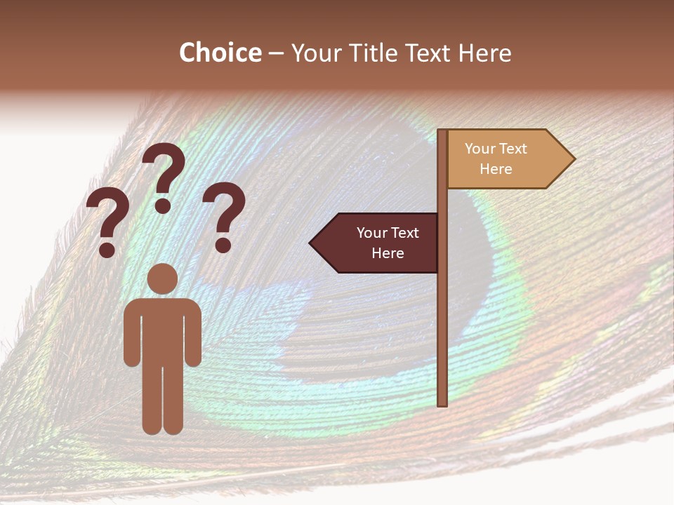 Design Beauty Fluffy PowerPoint Template