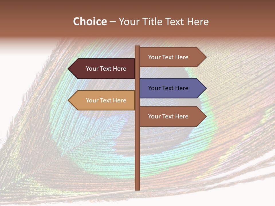 Design Beauty Fluffy PowerPoint Template