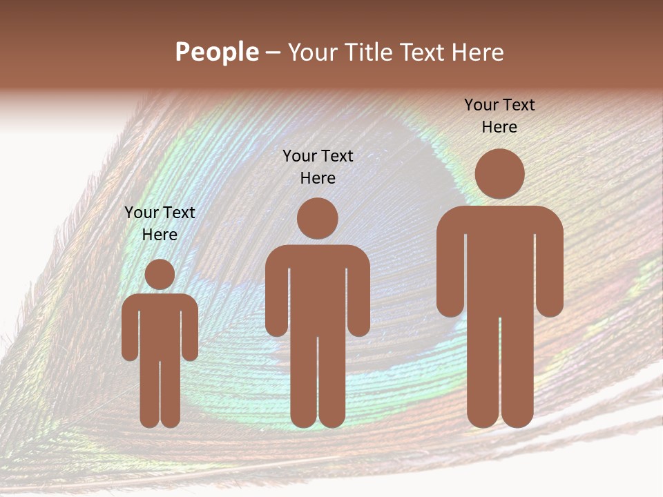 Design Beauty Fluffy PowerPoint Template