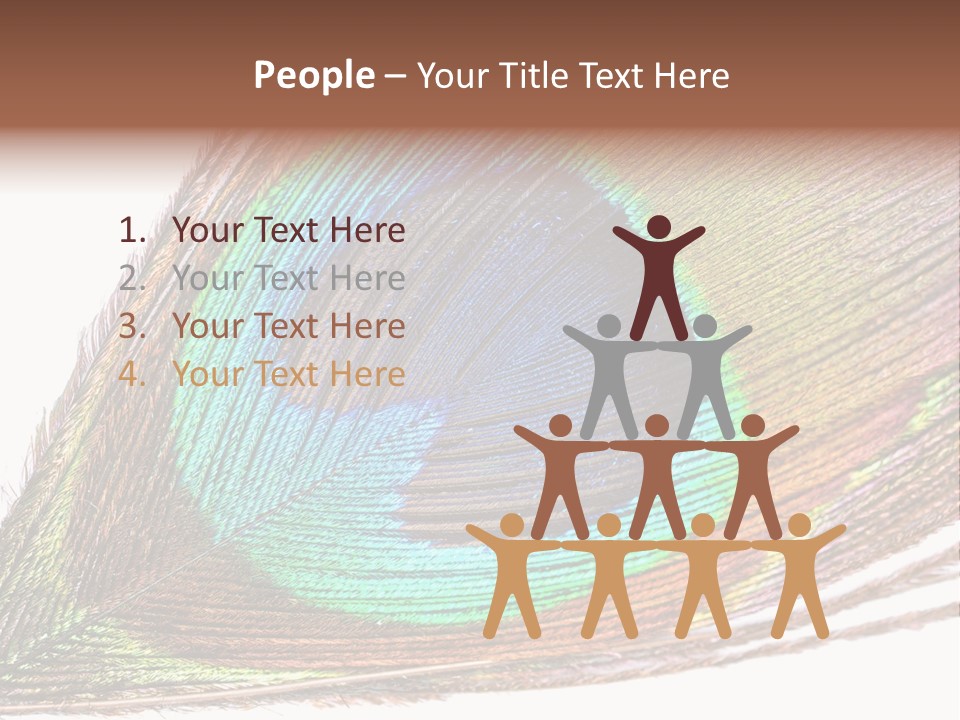 Design Beauty Fluffy PowerPoint Template