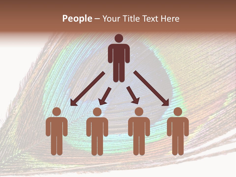 Design Beauty Fluffy PowerPoint Template