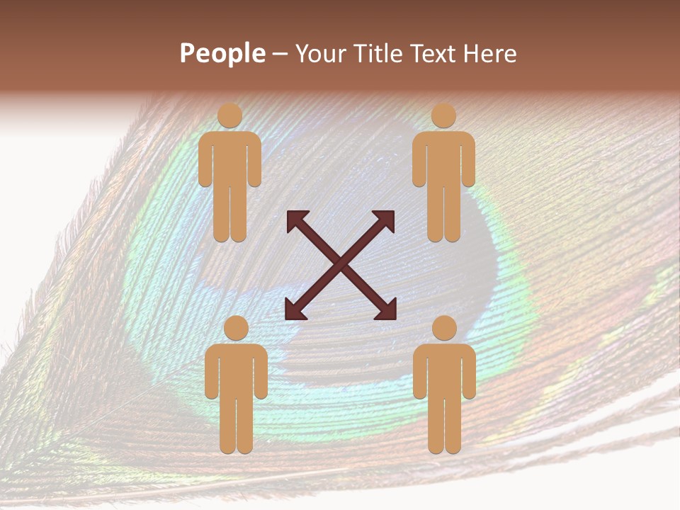 Design Beauty Fluffy PowerPoint Template