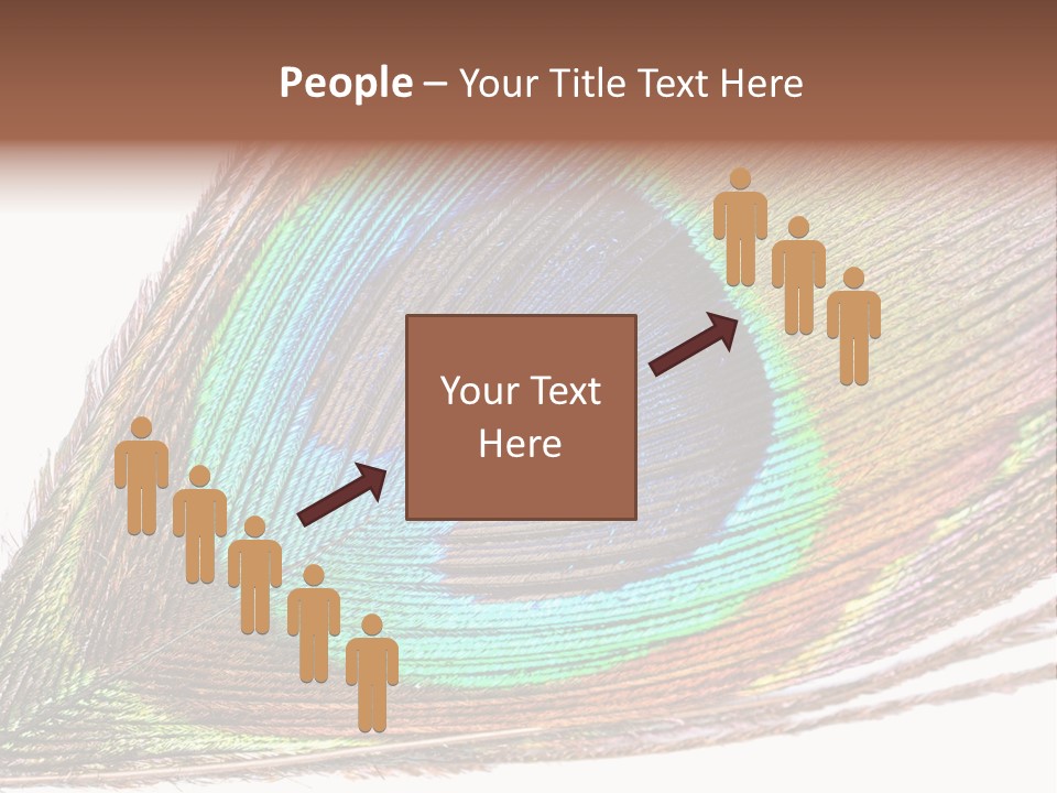 Design Beauty Fluffy PowerPoint Template