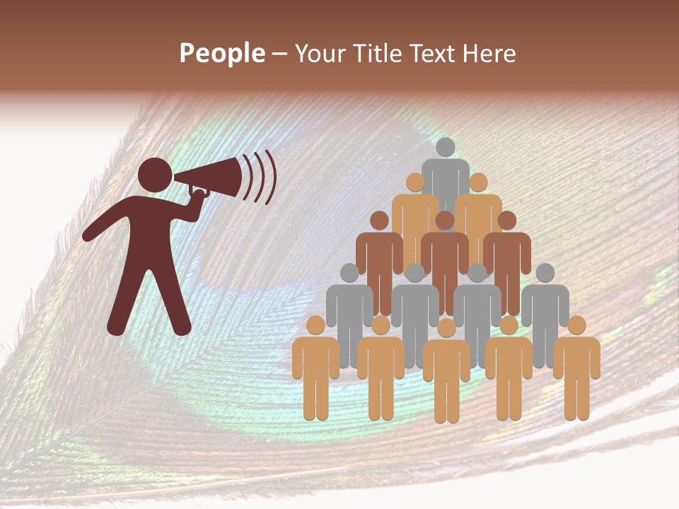 Design Beauty Fluffy PowerPoint Template