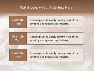 Baguette Cereal Warm PowerPoint Template