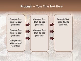 Baguette Cereal Warm PowerPoint Template