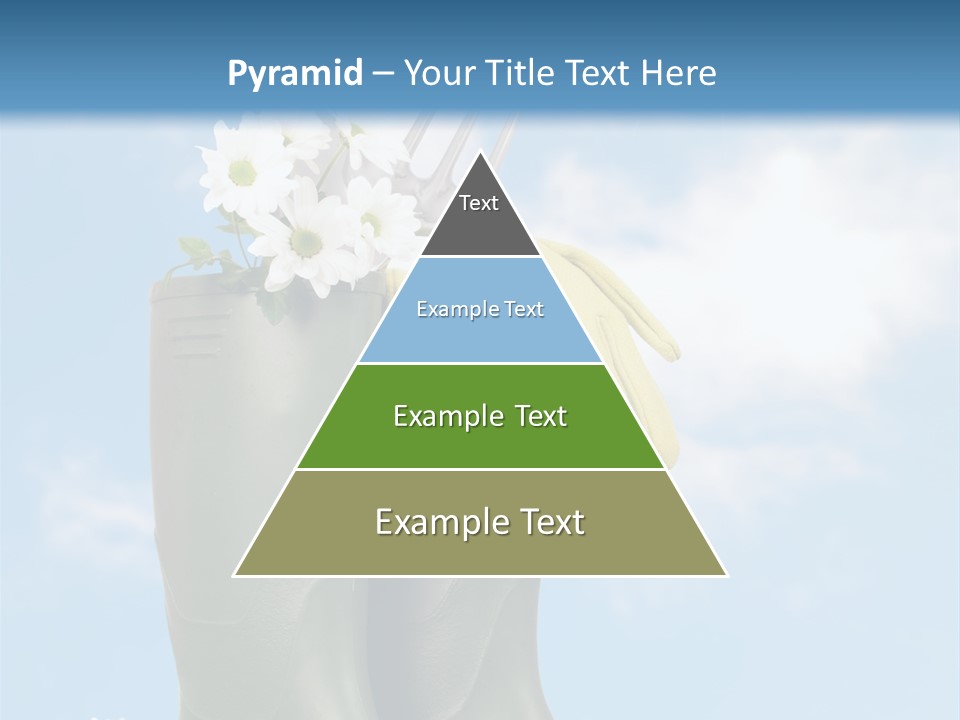 Seedlings Wellington Tools PowerPoint Template