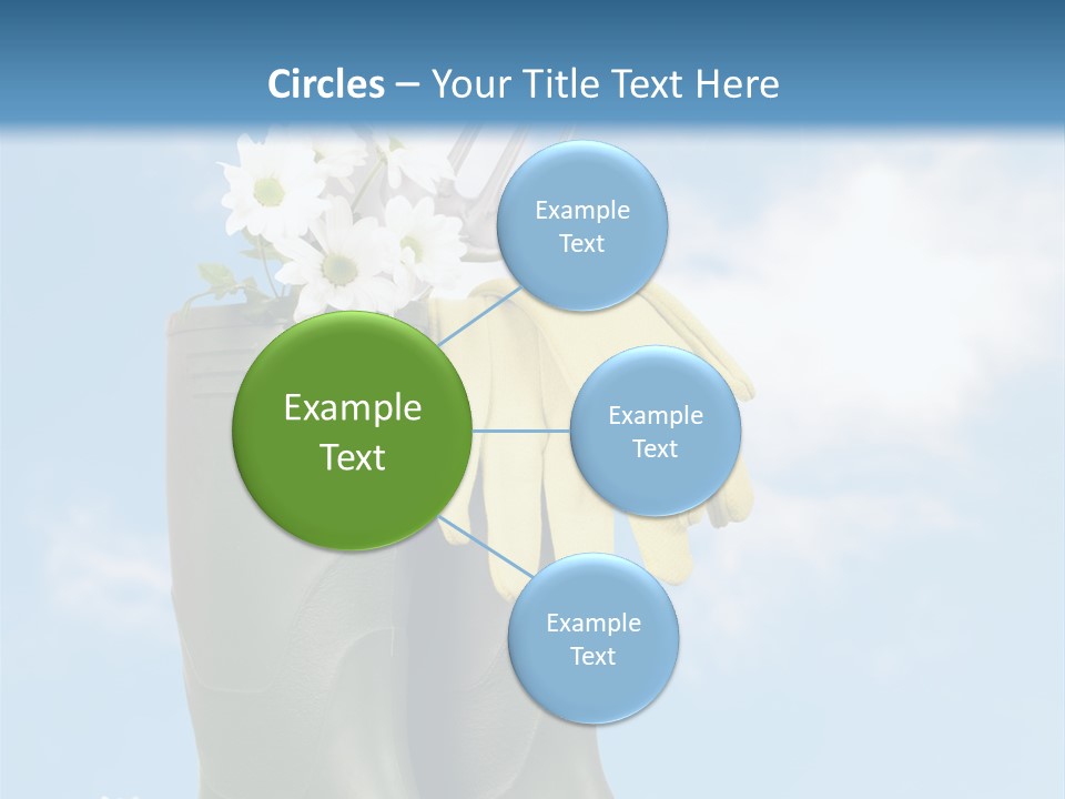 Seedlings Wellington Tools PowerPoint Template