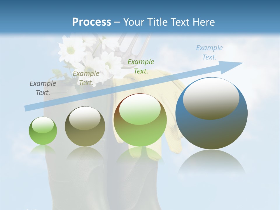 Seedlings Wellington Tools PowerPoint Template