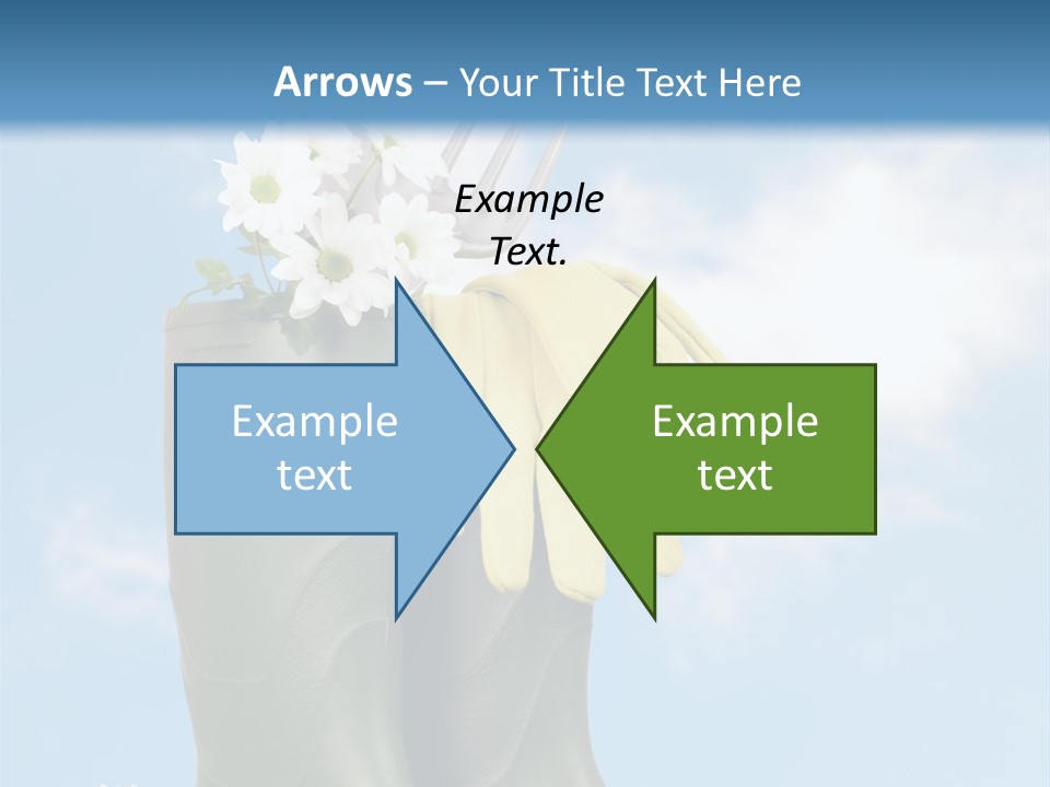 Seedlings Wellington Tools PowerPoint Template