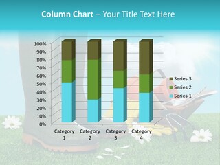 Sunny Gumboots Sun PowerPoint Template