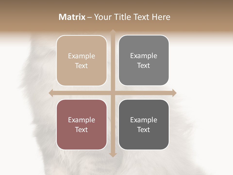 A Truck And Cardboard Box PowerPoint Template