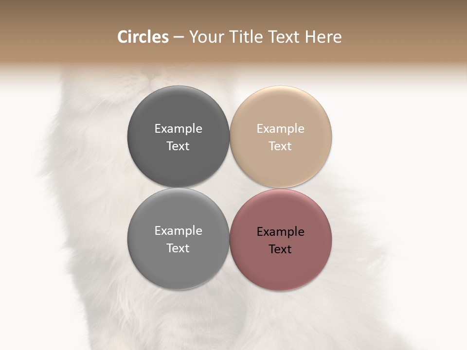 A Truck And Cardboard Box PowerPoint Template