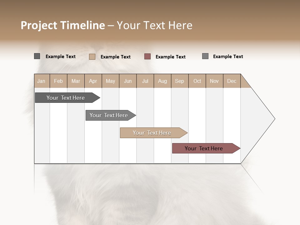 A Truck And Cardboard Box PowerPoint Template