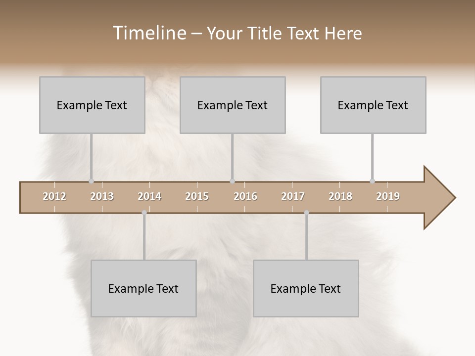 A Truck And Cardboard Box PowerPoint Template