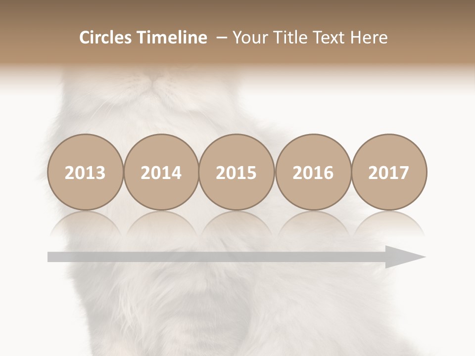 A Truck And Cardboard Box PowerPoint Template