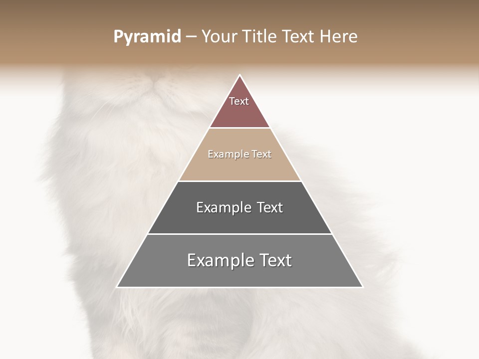 A Truck And Cardboard Box PowerPoint Template