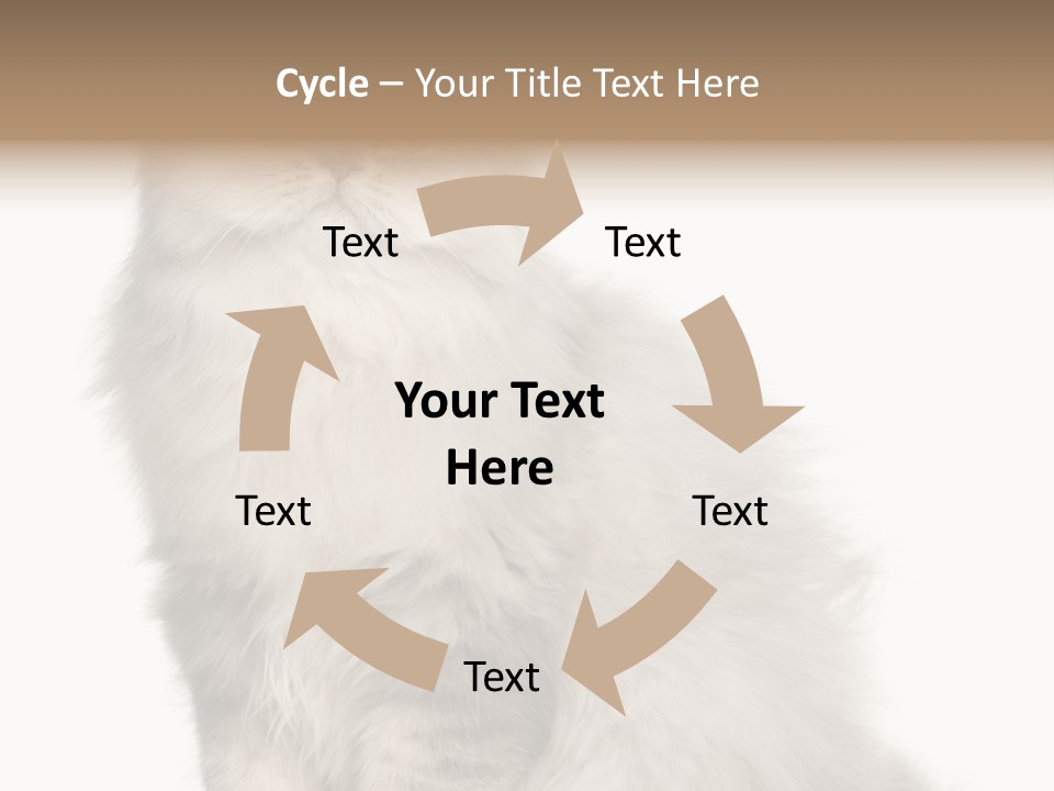 A Truck And Cardboard Box PowerPoint Template