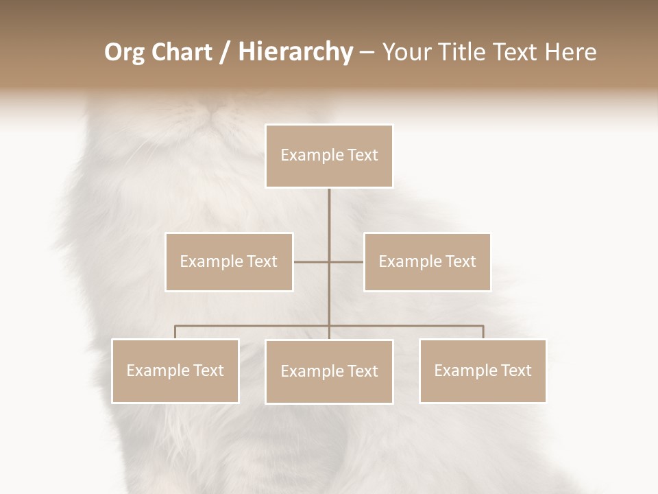 A Truck And Cardboard Box PowerPoint Template