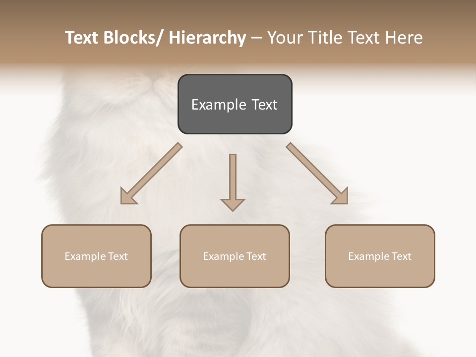 A Truck And Cardboard Box PowerPoint Template