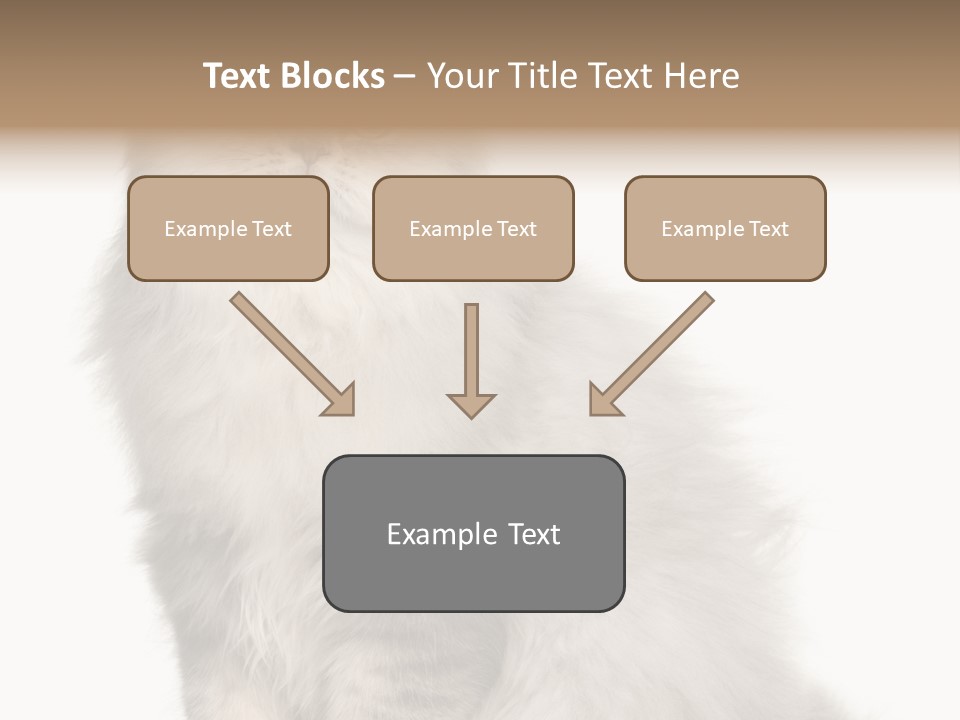 A Truck And Cardboard Box PowerPoint Template