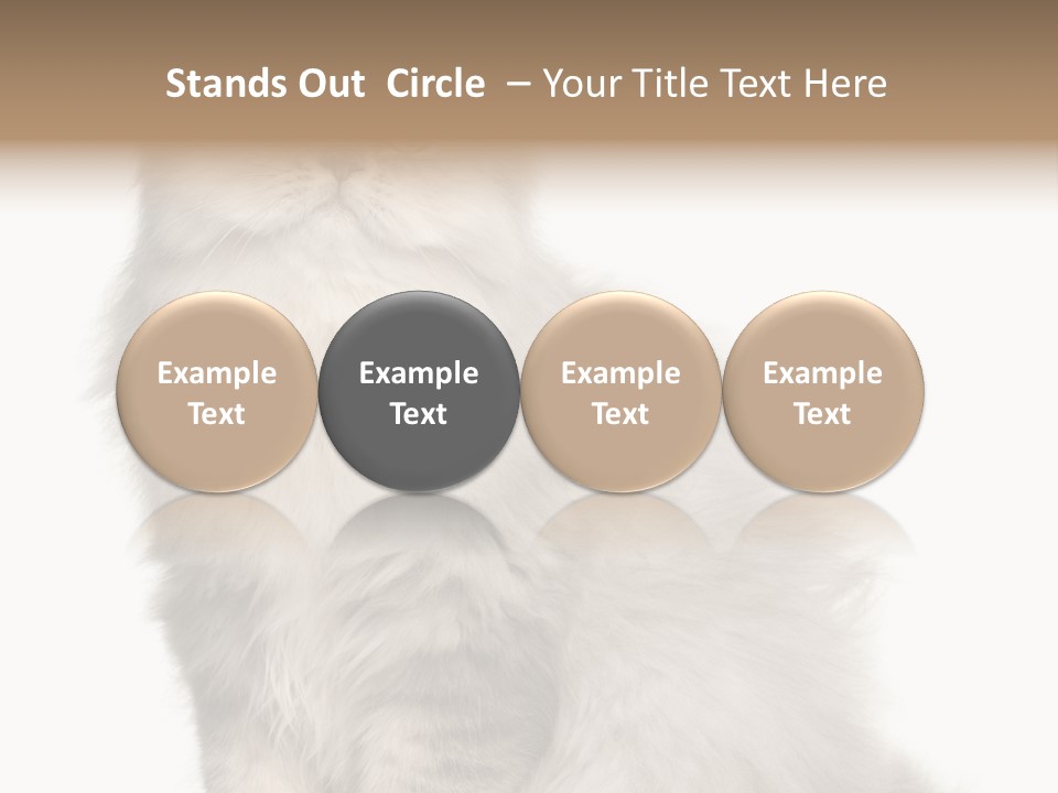 A Truck And Cardboard Box PowerPoint Template