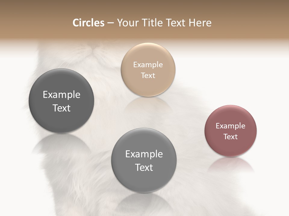 A Truck And Cardboard Box PowerPoint Template