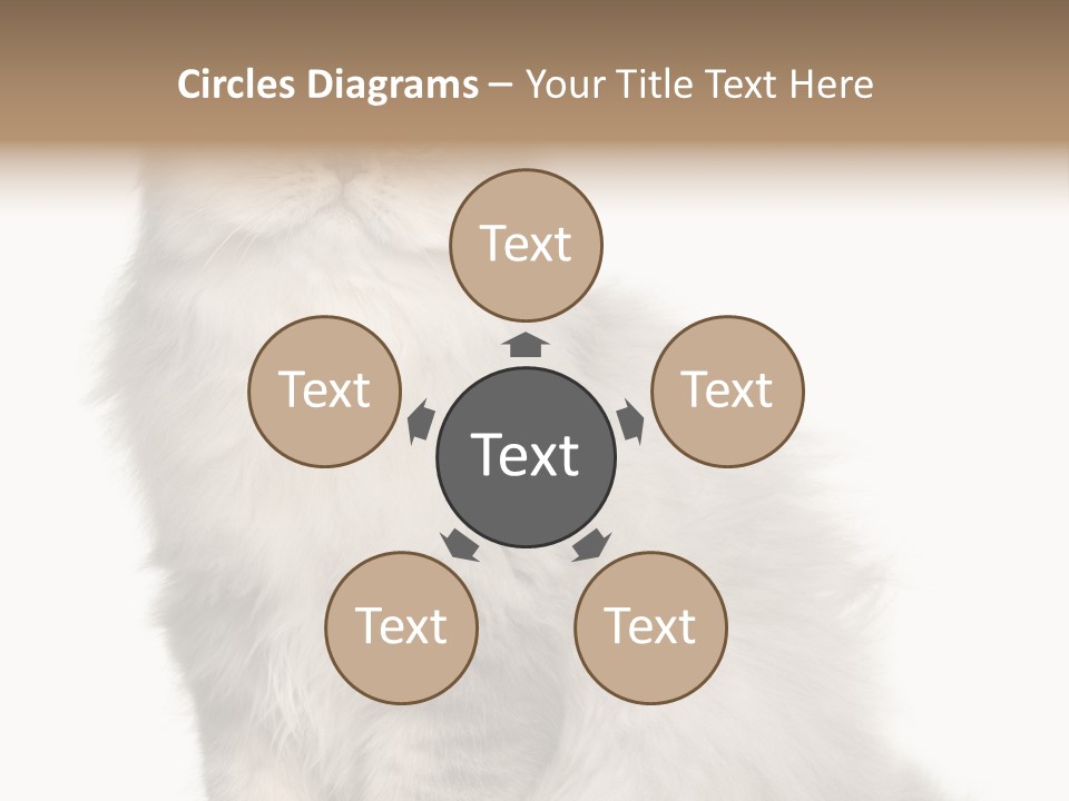 A Truck And Cardboard Box PowerPoint Template