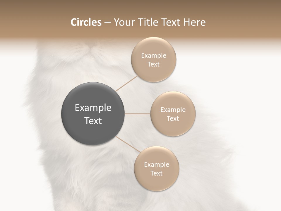 A Truck And Cardboard Box PowerPoint Template