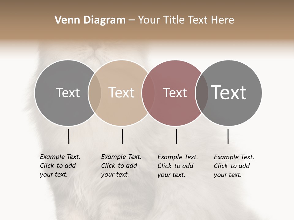 A Truck And Cardboard Box PowerPoint Template